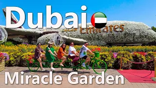 Dubai Miracle Garden Last Day of the Season 2022/2023 Walking Tour 4K🇦🇪