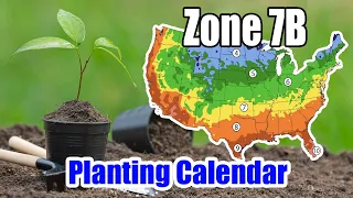 Zone 7b Planting Calendar: Best Times to Grow Your Garden