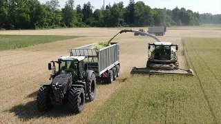 Fliegl Abschieber ASW 3101 TAURUS beim Häckseln