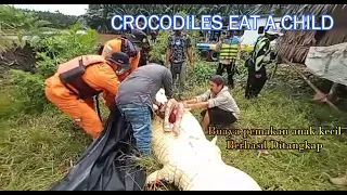 CROCODILES EAT A CHILD | BUAYA PEMAKAN SEORANG ANAK DITEMUKAN