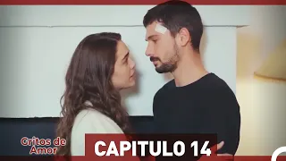 Gritos de Amor Capitulo 14 (Versión Extendida)