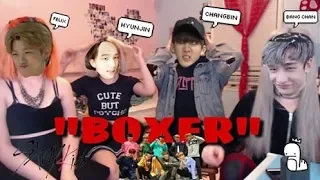 Stray Kids BOXER (Street Ver.) MV Reaction With A.U.Y (STAYS GONE WILD)