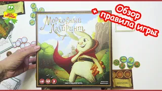 Настольная игра ZVEZDA "Морковный лабиринт" обзор и правила игры