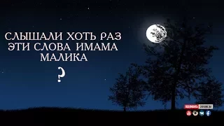 ᴴᴰ Слышали хоть раз эти слова имама Малика? | Муфтий Мухаммад ибн Адам аль-Кавсари | www.garib.ru