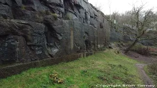 A walk around Pex Hill Quarry Widnes 6-1-2023