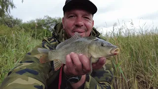 оз  Красивое. Много мелкой рыбы. Чемпионат Тамбовской обл.    #рыбалка #fishing