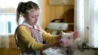 Charlotte's Web Full Movie Facts And Review /  Julia Roberts / Dakota Fanning