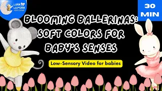 BLOOMING BALLERINAS: SOFT COLORS FOR BABY'S SENSES