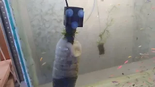 Как избавиться от мутной зеленой воды в аквариуме? Аквариумный фильтр своими руками.