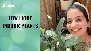 Best Low Light Indoor Plants | पौधे जो कम रोशनी में घर के अंदर उगते हैं #Shorts