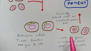 Gene therapy | In Vivo Gene therapy | Ex Vivo Gene therapy | Types of Gene therapy | Bio science