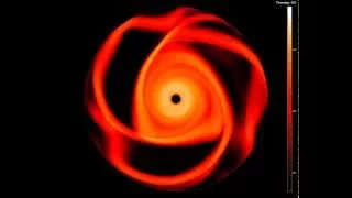 Self-gravitating disk