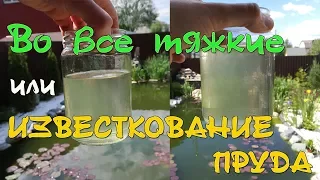 ВО ВСЕ ТЯЖКИЕ или ИЗВЕСТКОВАНИЕ ПРУДА для очистки воды: методика и результаты