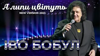 Іво Бобул -  А липи цвітуть [New Version 2023] Все буде Україна!