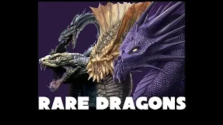 Dungeons and Dragons Lore: Drow, Sand, Purple and Cobra Dragons