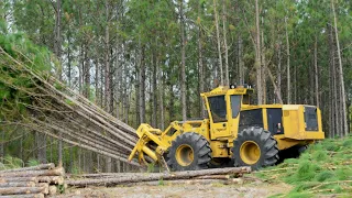 Dangerous Fast Destroy Big Tree Machine Working - Amazing Tree Cutting Machine, Extreme Equipment