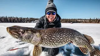 Ice Fishing for HUGE Northern Pike!