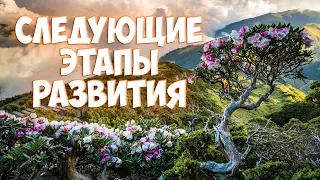 Софоос. О следующих этапах развития