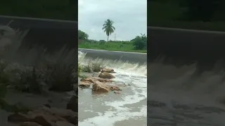 Barragem do distrito da Bela vista Cariús Ceará sangrando águas indo para o açude Oros