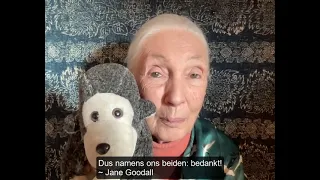 Eindejaarsgroet Jane Goodall