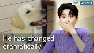 He has changed dramatically😮 [Dogs are incredible : EP.145-3] | KBS WORLD TV 221025