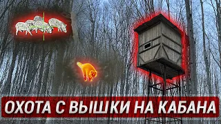 Охота с вышки на кабана! Тепловизионные прицелы и монокуляры iRay в действии!