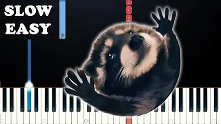 Pedro Pedro Pedro - Raccoon Meme (SLOW EASY PIANO TUTORIAL)