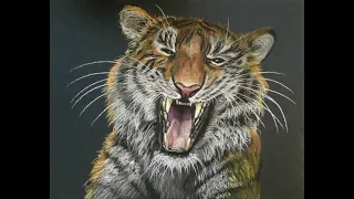 Тигр пастельными карандашами /  tiger in pastel / Painting on Pastel pencils