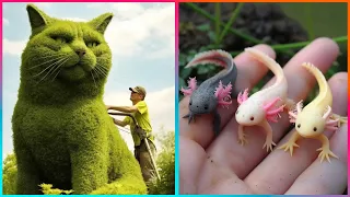 The Creative Talent Of These People Has No Limit ▶6