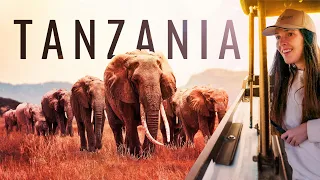 Better than the Serengeti?! Insane Tanzania Safari (Tarangire National Park)