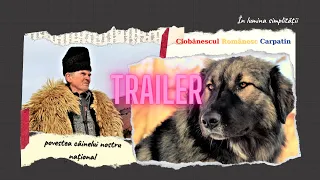 Trailer/ Din pasiune pentru Ciobănescul Românesc Carpatin