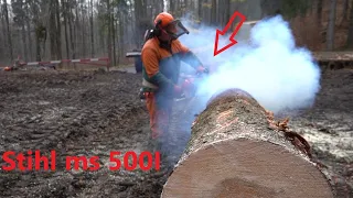 Co się dzieje z tą piłą!!?? Zrywka LKT 80 i Stihl ms500I