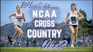 My Best Cross Country Season || Voiceover and Analysis