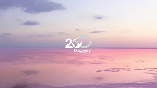 Любопытство заводит далеко | Discovery 20 лет в России | Discovery Channel