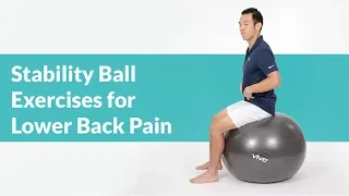 Best Stability Ball Exercises for Lower Back Pain