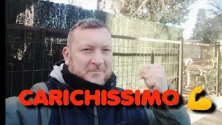 CARICHISSIMO PER MILAN-SPEZIA!!! FORZA RAGAZZI! RIPRENDIAMOCI CIÒ CHE È NOSTRO! LA VETTA CI ASPETTA!