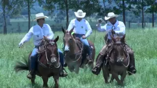 RANCHO JS /// BRINCO NO BOI /// LAÇO EM MULA /// Santa Elvira /// Apuí Produtora