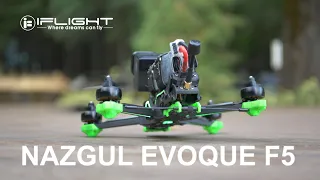 Will It Rip? iFlight Nazgul Evoque F5 HD