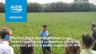 Monitor Farm Monday: Cover crops, inter-cropping and companion cropping