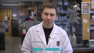 讓衰老的血管時鐘逆轉（Rewinding the clock on aging blood vessels）