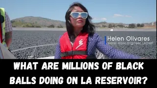 Why are 96,000,000 black balls on this LA Reservoir?