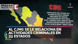 Radiografía del crimen organizado en México