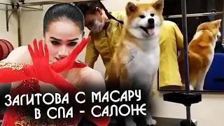 Алина Загитова показала поход собаки Масару к парикмахеру