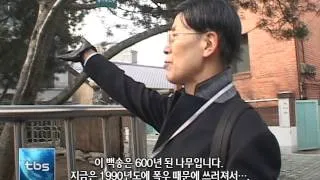 [tbsTV]서촌 골목길 한바퀴