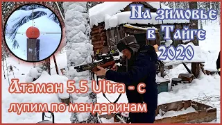 #РСР #ATAMAN Стреляем по мандаринам с ПСП Атаман 5.5 Ultra-c Отдыхаем на зимовье в Сибири в тайге.