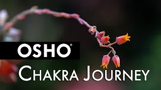 OSHO: Chakra Journey
