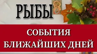 Рыбы, ✅ События ближайших дней, 10-16.10.2022г, 📌таро прогнозы гороскопы, Анна зверева таро,