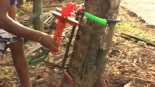 Coconut Tree Climber