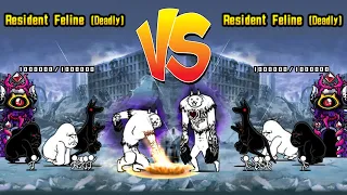 Battle cats - Resident Feline VS Resident Feline (Deadly VS Deadly)