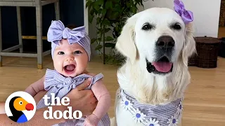 Dog Can't Wait To Meet Her Baby Sister | The Dodo